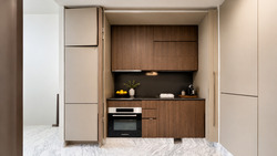 Van Holland (D10), Condominium #583267041